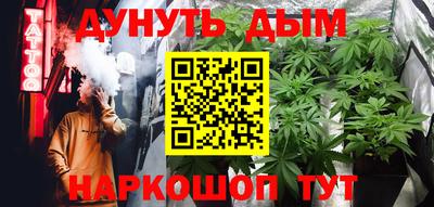 шишки Изобильный