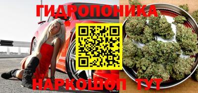 Альфа ПВП Беслан