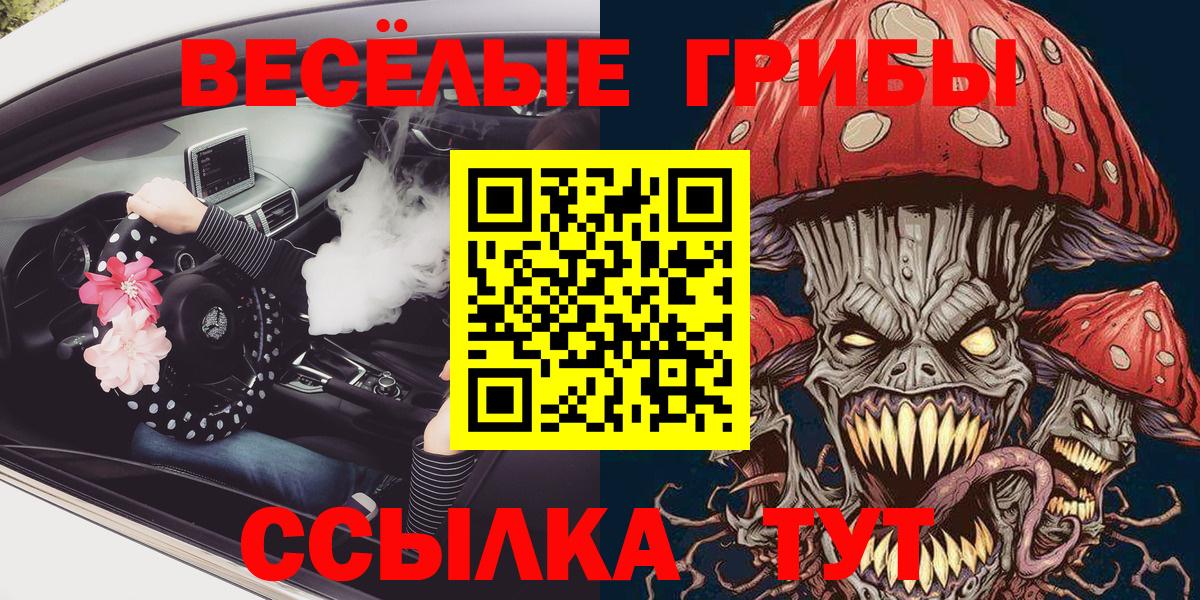 Галлюциногенные грибы ЛСД  наркота  Камышин  Псилоцибиновые грибы Magic Shrooms  Вход с VPN 