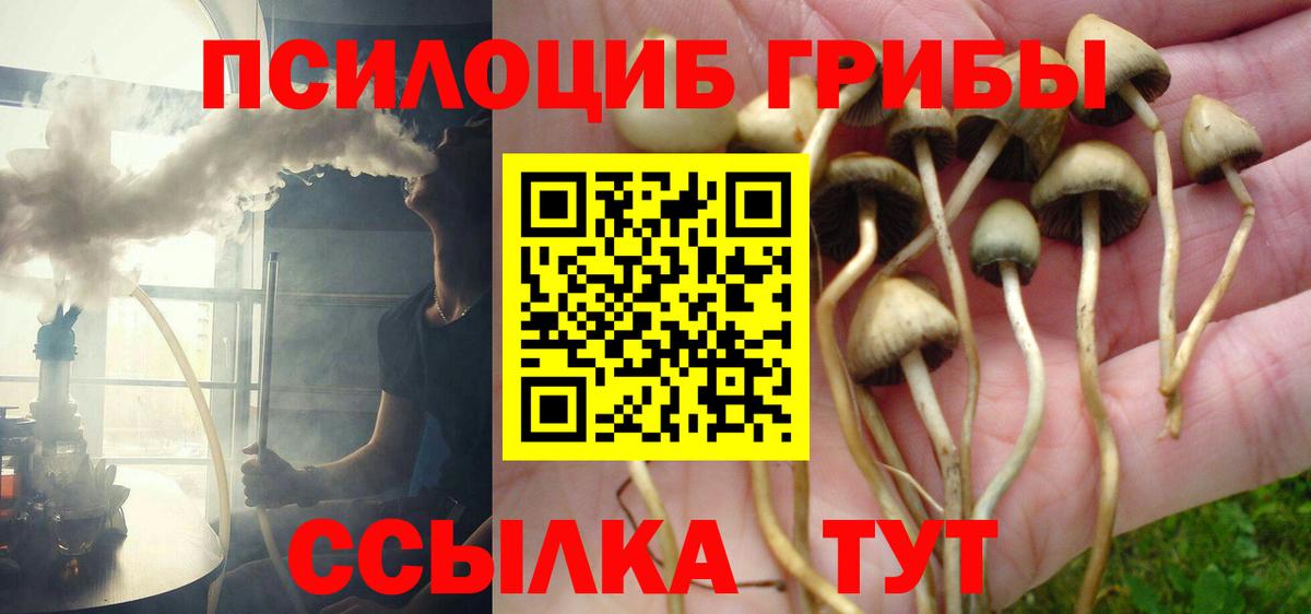 Псилоцибиновые грибы прущие грибы Камышин